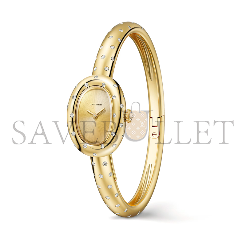 Ca*t1er baignoire watch wjba0063